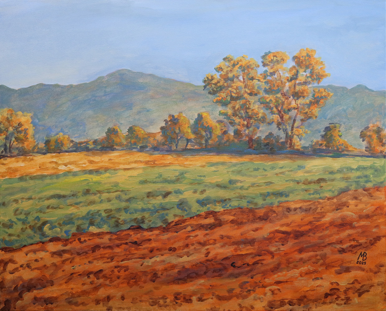 Tullnerfelder Landschaft